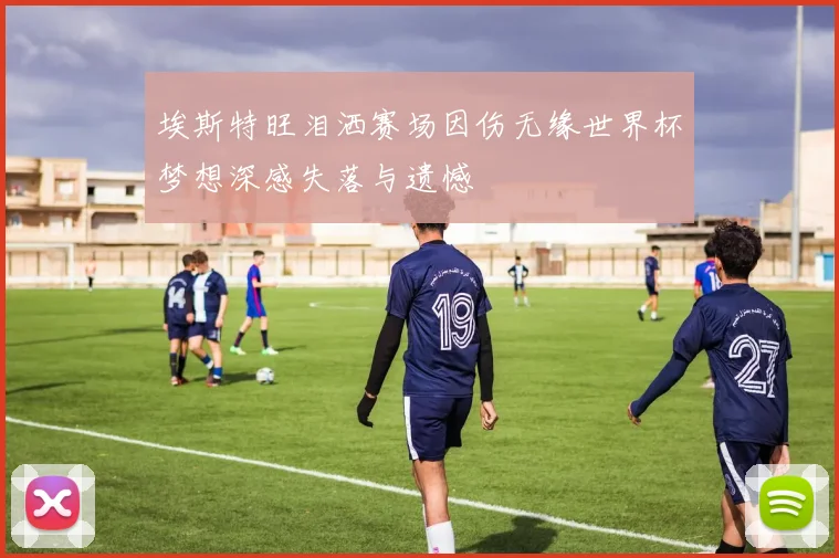 埃斯特旺泪洒赛场因伤无缘世界杯梦想深感失落与遗憾